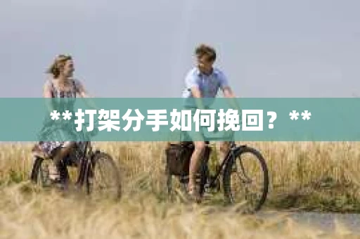 **打架分手如何挽回？**