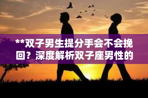 **双子男生提分手会不会挽回？深度解析双子座男性的情感决策**