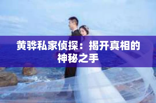 黄骅私家侦探：揭开真相的神秘之手