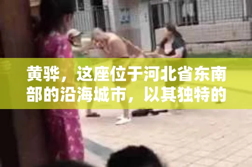 黄骅，这座位于河北省东南部的沿海城市，以其独特的地理位置和丰富的历史文化而闻名。然而，在这座城市中，还有一群人，他们以另一种方式默默守护着社会的公平与正义——私家侦探。今天，我们就来聊聊黄骅的私家侦探，看看他们是如何在这个城市中发挥作用的。