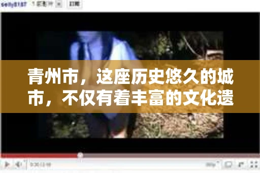 青州市，这座历史悠久的城市，不仅有着丰富的文化遗产，也有着现代生活的便捷。那么，问题来了——青州市有私家侦探公司吗？这个问题，对于需要侦探服务的人来说，无疑至关重要。接下来，我就来为大家揭开这个谜底。