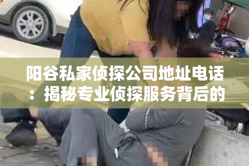 阳谷私家侦探公司地址电话：揭秘专业侦探服务背后的故事