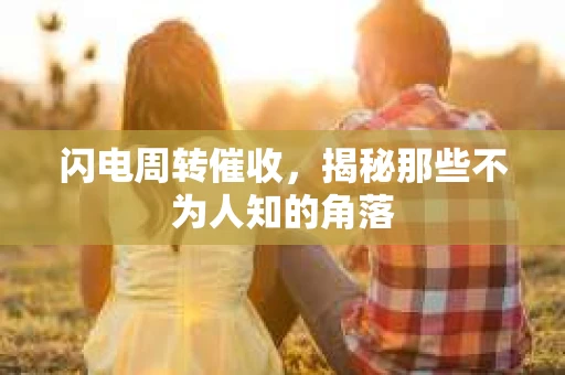 闪电周转催收，揭秘那些不为人知的角落