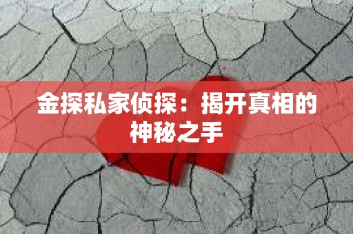 金探私家侦探：揭开真相的神秘之手