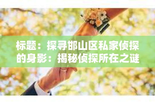 标题：探寻邯山区私家侦探的身影：揭秘侦探所在之谜