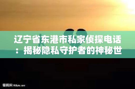 辽宁省东港市私家侦探电话：揭秘隐私守护者的神秘世界