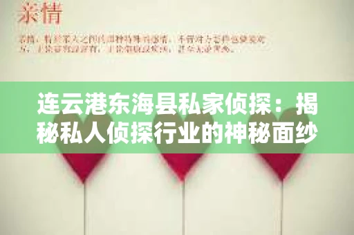 连云港东海县私家侦探：揭秘私人侦探行业的神秘面纱