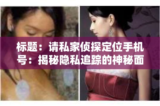 标题：请私家侦探定位手机号：揭秘隐私追踪的神秘面纱
