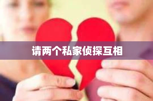请两个私家侦探互相