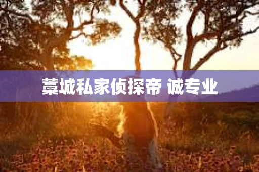 藁城私家侦探帝 诚专业