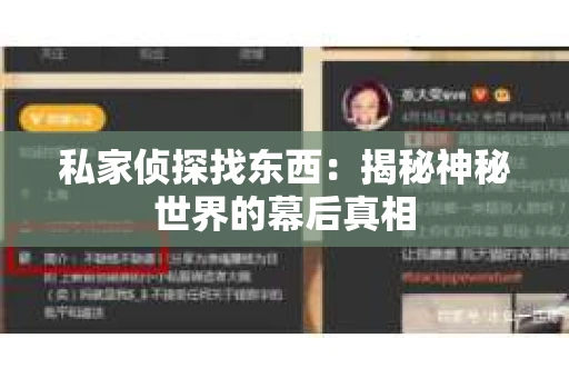私家侦探找东西：揭秘神秘世界的幕后真相