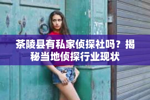 茶陵县有私家侦探社吗？揭秘当地侦探行业现状