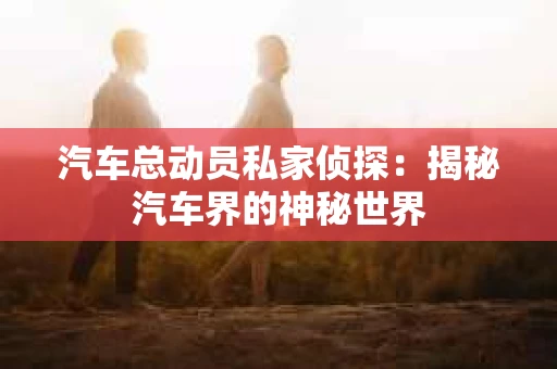 汽车总动员私家侦探：揭秘汽车界的神秘世界