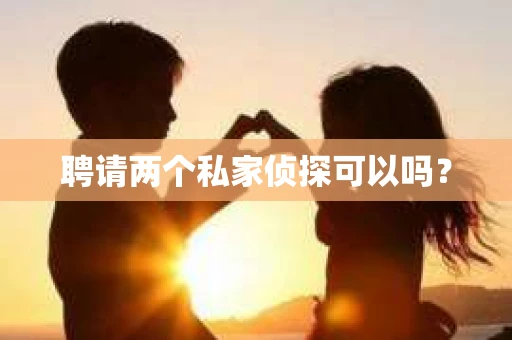 聘请两个私家侦探可以吗？