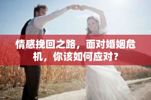 情感挽回之路，面对婚姻危机，你该如何应对？