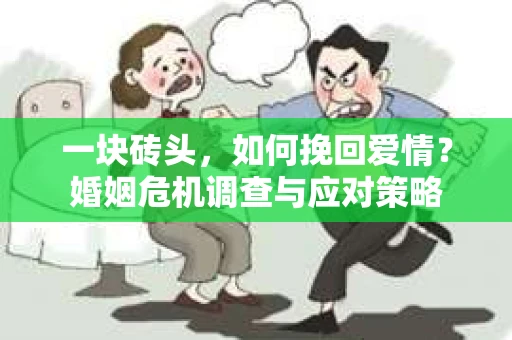 一块砖头，如何挽回爱情？婚姻危机调查与应对策略