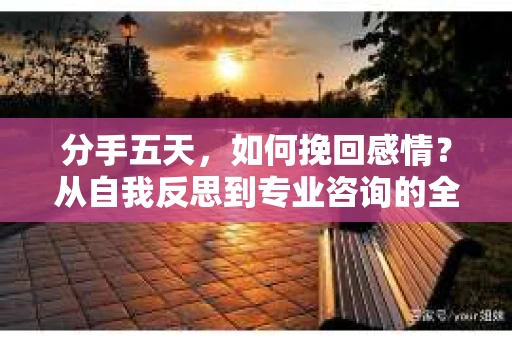 分手五天，如何挽回感情？从自我反思到专业咨询的全面解决方案