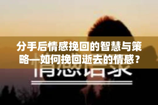 分手后情感挽回的智慧与策略—如何挽回逝去的情感？